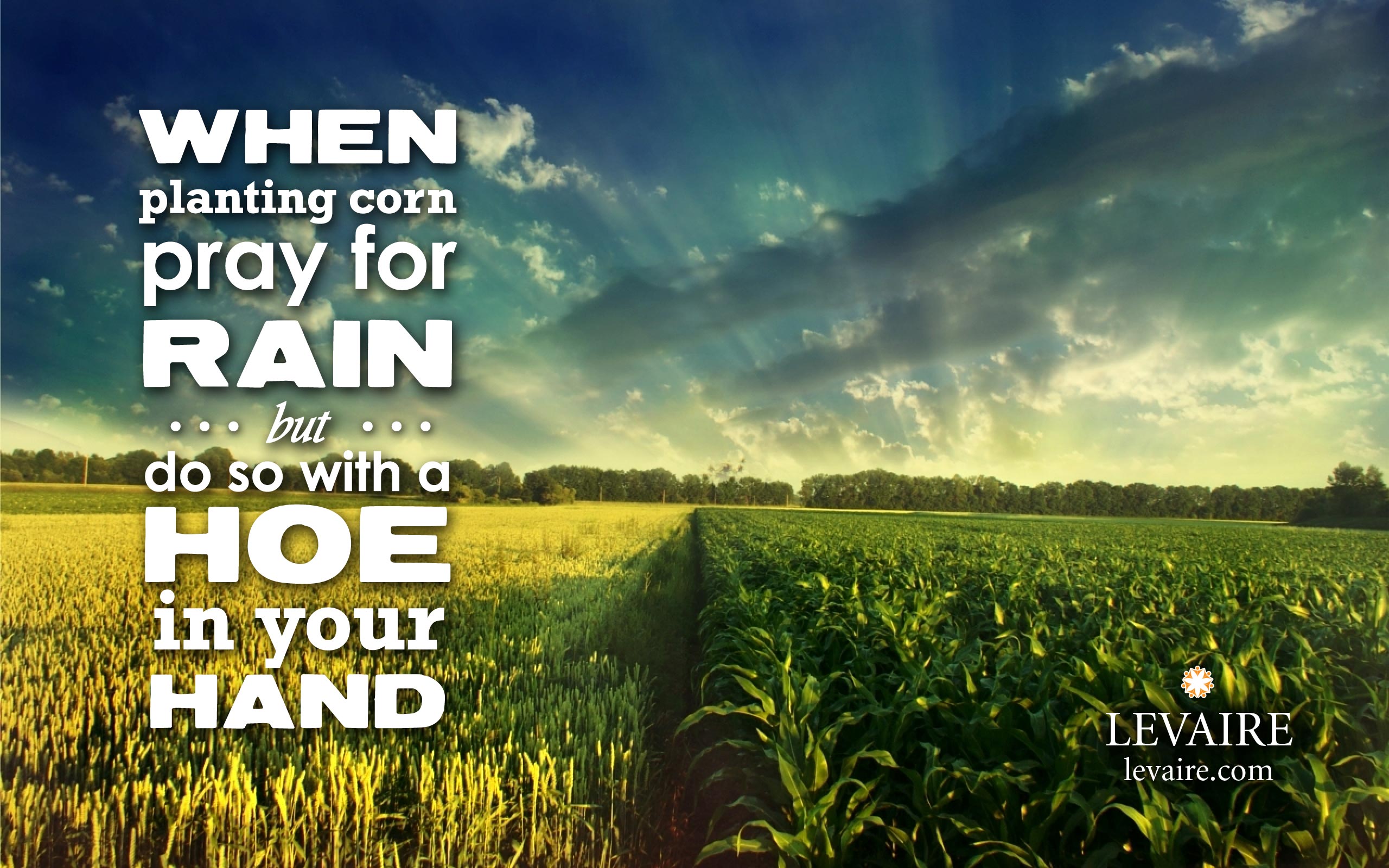 Inspirational: When Planting Corn Pray for Rain