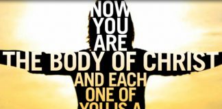 you are the body