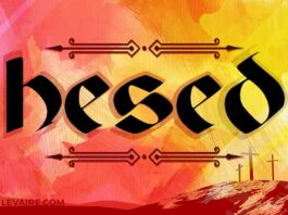 what is hesed love